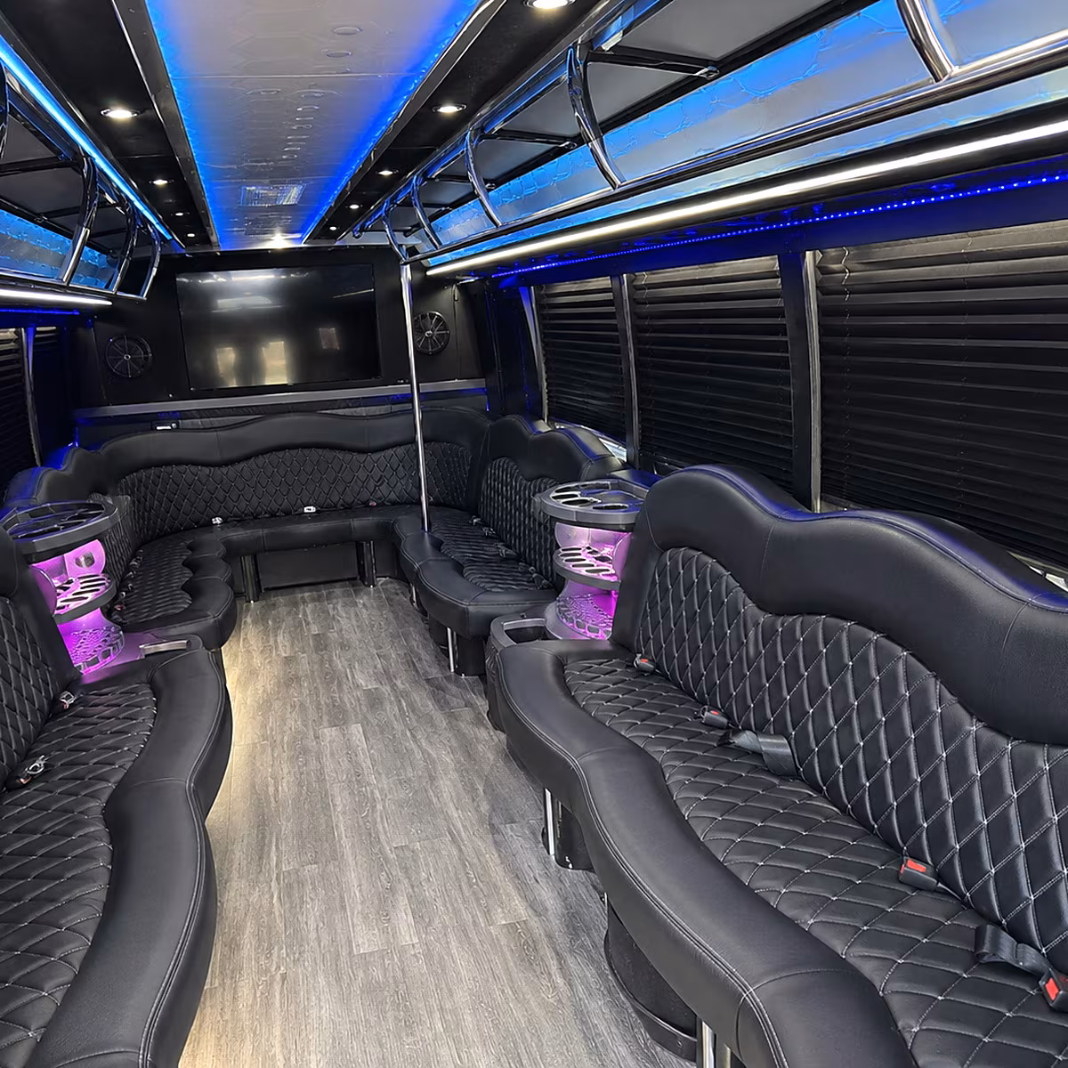 roswell party bus rental interior